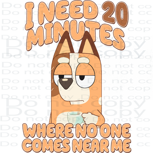 I Need 20 Minutes